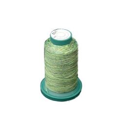 Exquisite 1000m Green Variegated Thread - V102