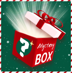 Mystery Christmas Box