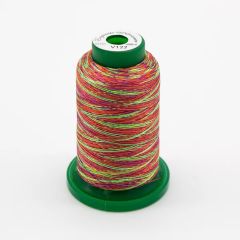 Exquisite 1000m Halloween Variegated Thread - V122